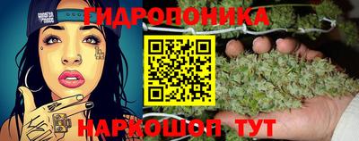 мдма Заводоуковск