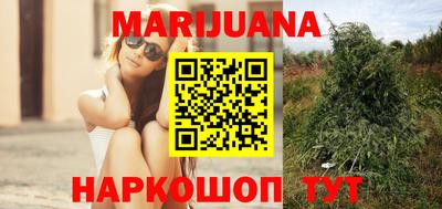 сатива Жуковский