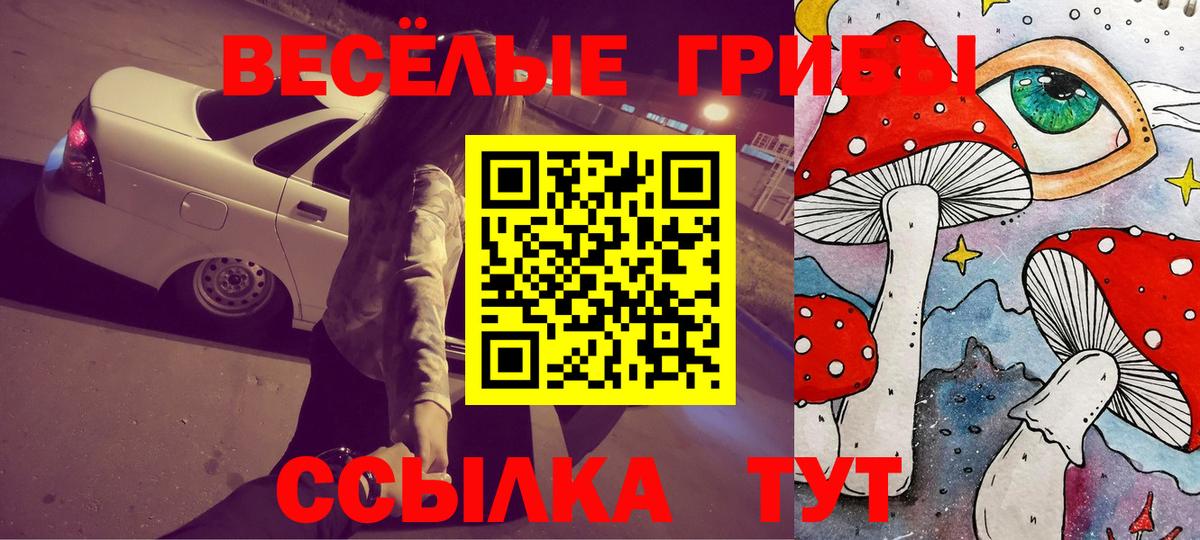 Псилоцибиновые грибы Magic Shrooms Моздок