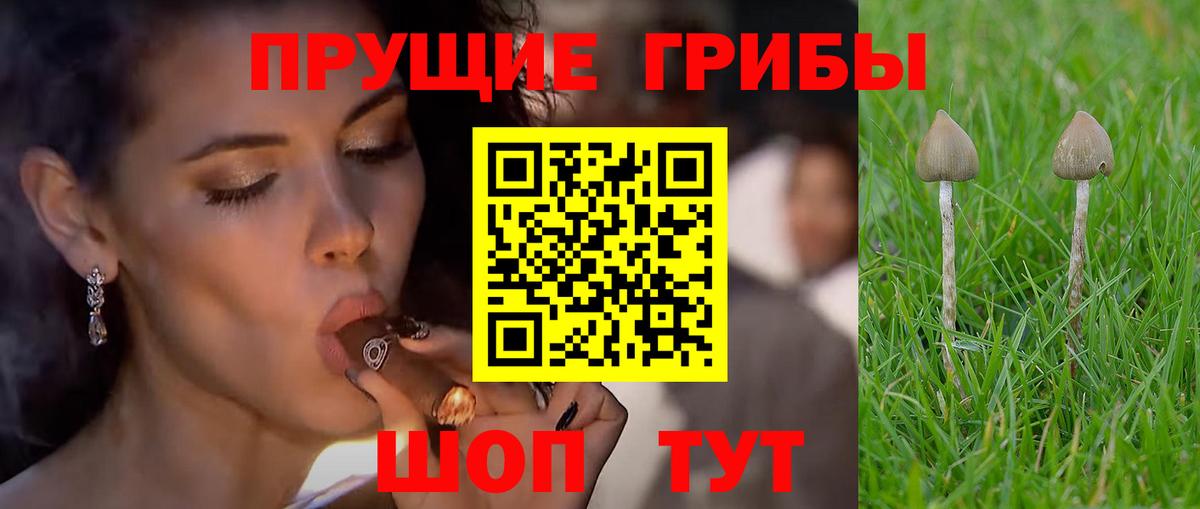 Галлюциногенные грибы ЛСД  Вход с VPN  Моздок  Галлюциногенные грибы MAGIC MUSHROOMS 